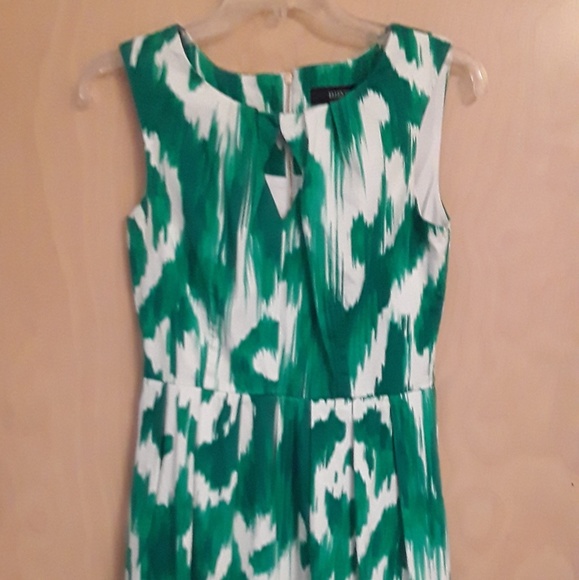 Ellen Tracy Dresses & Skirts - Ellen Tracy Green White stroke dress Sz 2 NWOT